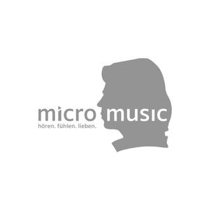 micromusic Die Grübeltäter
